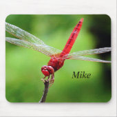Dragonfly Muismat groen en rood (Voorkant)