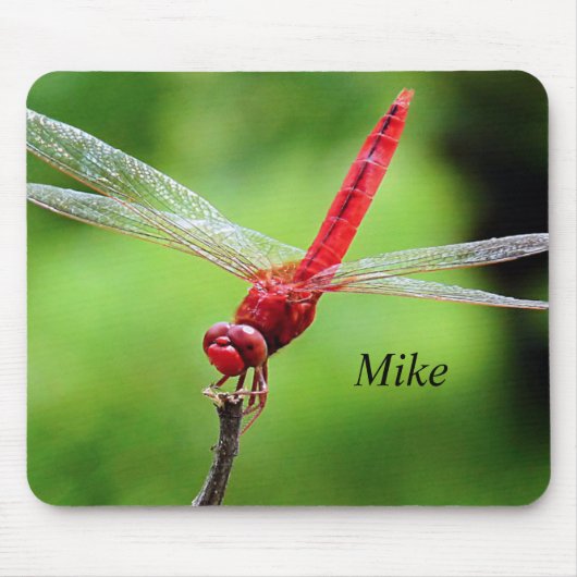 Dragonfly Muismat groen en rood (Voorkant)