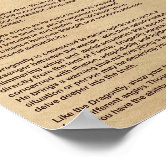 DRAGONFLY MYTHOLOGY POSTER (Hoek)