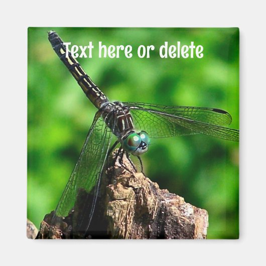 Dragonfly Nature Personalized Magneet (Voorkant)