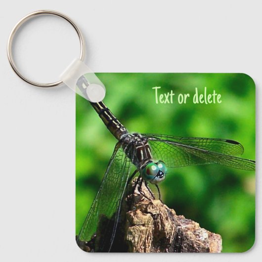 Dragonfly-Natuur, gepersonaliseerd Sleutelhanger (Voorkant)
