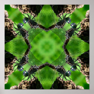 Dragonfly Natuur Mirror Art Poster