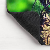 Dragonfly-Natuur Muismat (Hoek)