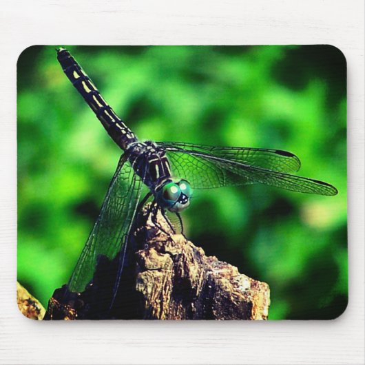 Dragonfly-Natuur Muismat (Voorkant)