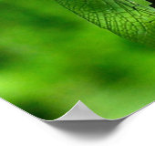 Dragonfly Natuur sluiten Poster (Hoek)