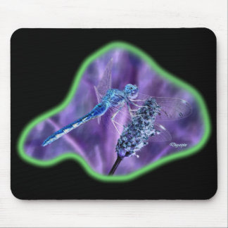 Dragonfly Neg Afbeelding 02 Muismat