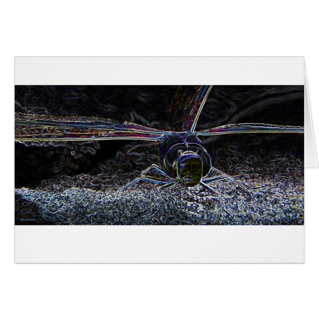 Dragonfly neon 2 (Voorkant Horizontaal)