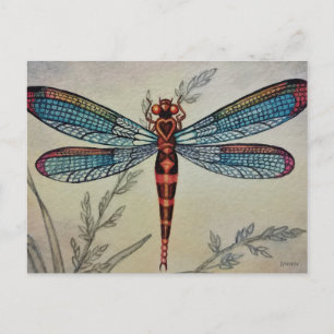 Dragonfly No. 1 en Grass Waterverf Art Briefkaart