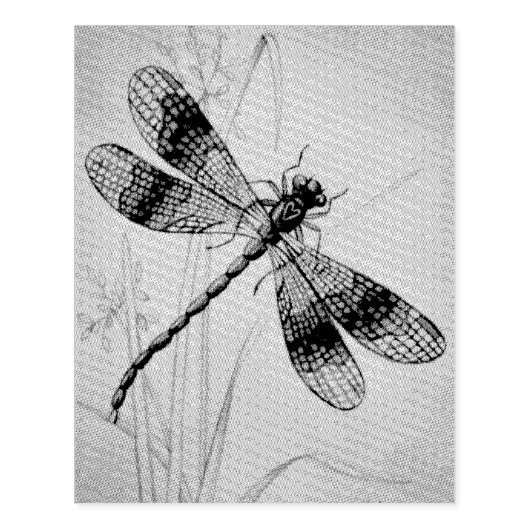  Dragonfly No. 2 en Grass Waterverf Art Rubberstempel (Afrduk)
