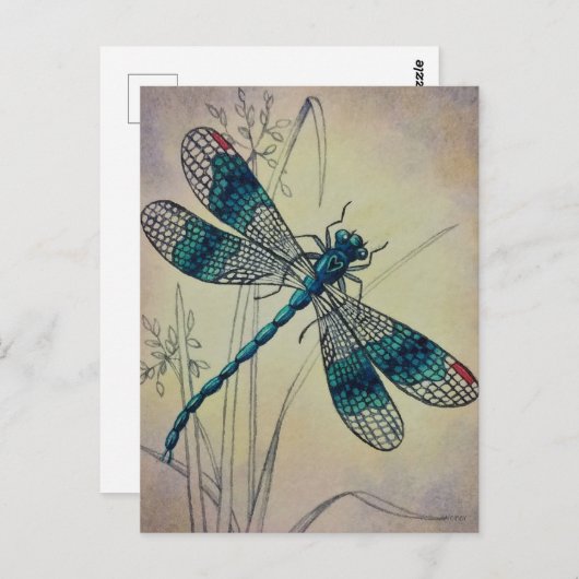 dragonfly No. 2 Grass Waterverf Art Postc Briefkaart (Voorkant / Achterkant)