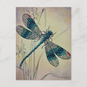 dragonfly No. 2 Grass Waterverf Art Postc Briefkaart