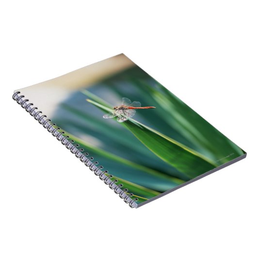 Dragonfly Notitieboek (Rechterzijde)