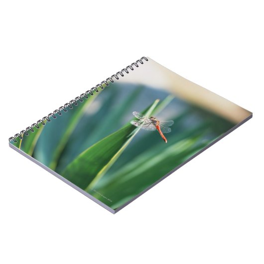 Dragonfly Notitieboek (Linkerzijde)