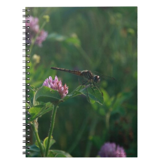 Dragonfly-Notitieboek Notitieboek (Voorkant)