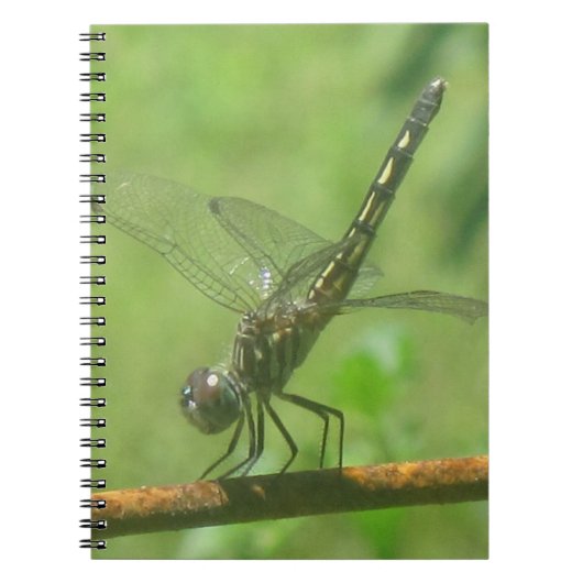 Dragonfly-Notitieboek Notitieboek (Voorkant)