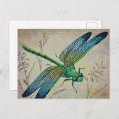 dragonfly nr. 3 en Grass Waterverf Art Briefkaart (Voorkant / Achterkant)