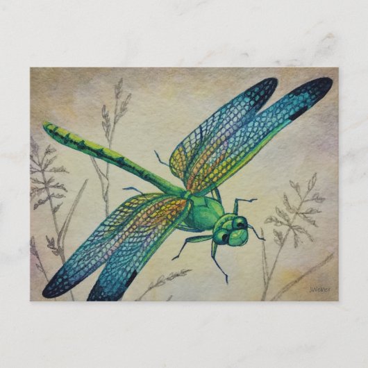 dragonfly nr. 3 en Grass Waterverf Art Briefkaart (Voorkant)
