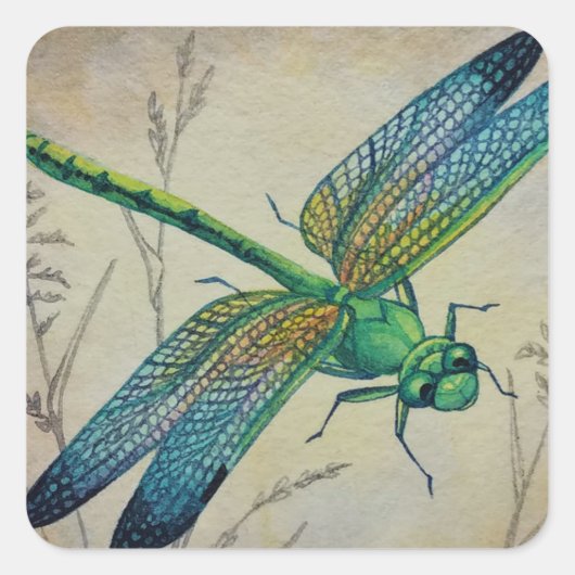  dragonfly nr. 3 en Grass Waterverf Art Vierkante Sticker (Voorkant)
