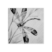 dragonfly nr. 4 en Waterverf van de olie Rubberstempel (Afrduk)