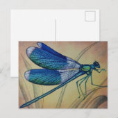  Dragonfly nr. 5 en Grass Waterverf Art Briefkaart (Voorkant / Achterkant)