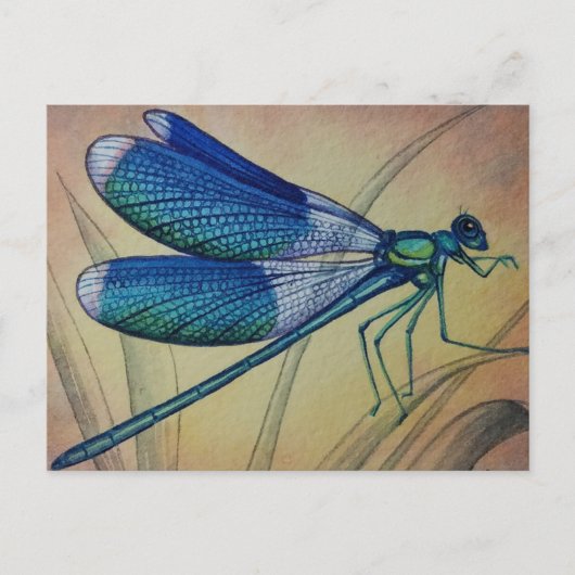  Dragonfly nr. 5 en Grass Waterverf Art Briefkaart (Voorkant)
