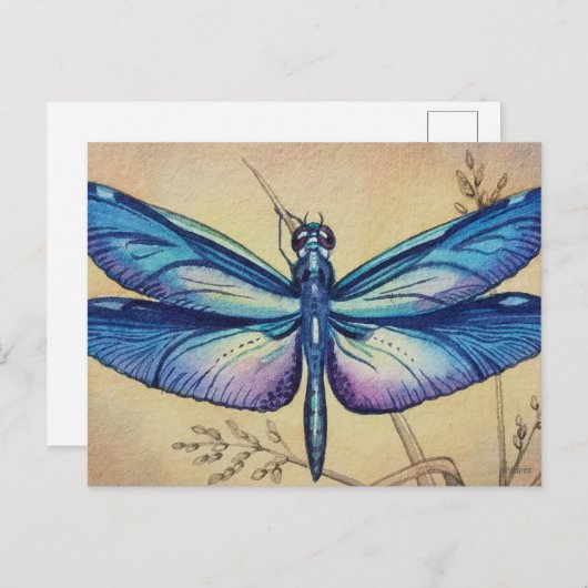  dragonfly nr. 6 en Grass Waterverf Art Briefkaart (Voorkant / Achterkant)