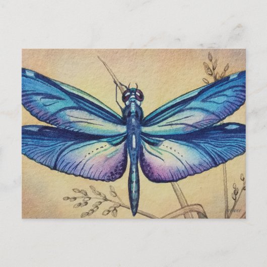  dragonfly nr. 6 en Grass Waterverf Art Briefkaart (Voorkant)