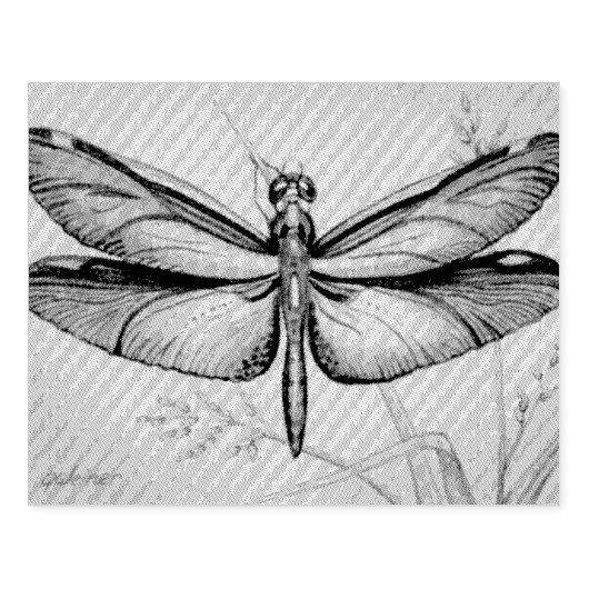  dragonfly nr. 6 en Grass Waterverf Art Rubberstempel (Afrduk)