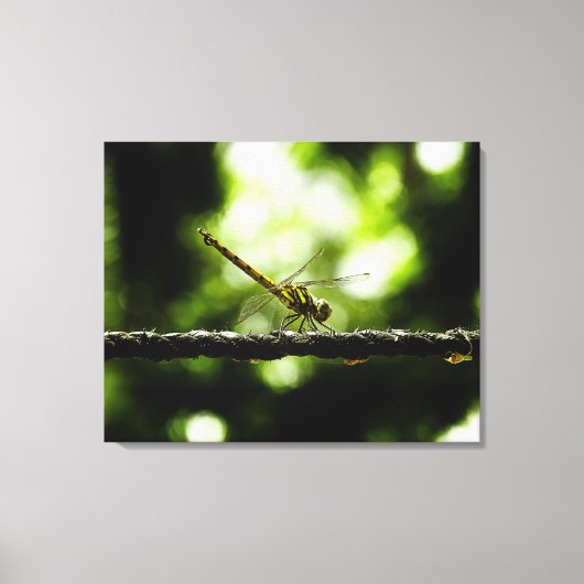 Dragonfly on green - Wrapped Canvas (Voorkant)