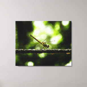 Dragonfly on green - Wrapped Canvas Afdruk