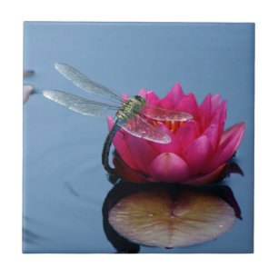 Dragonfly on Lotus Flower Tegeltje