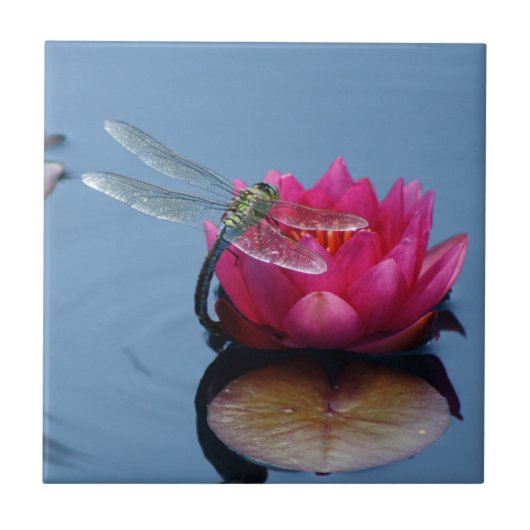 Dragonfly on Lotus Flower Tegeltje (Voorkant)