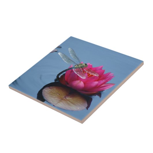 Dragonfly on Lotus Flower Tegeltje (Zijkant)