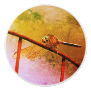 Dragonfly on Wire Fence Abstract Grunge Keramische Knop
