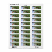Dragonfly on Wire Fence Natuur Address Etiket (Full Sheet)
