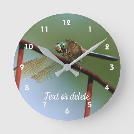 Dragonfly on Wire Fence Personated Ronde Klok (Voorkant)