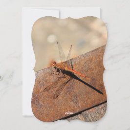 Dragonfly ontwerp met bruin feestdagenkaart