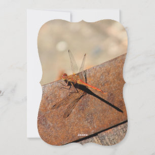 Dragonfly ontwerp met bruin feestdagenkaart