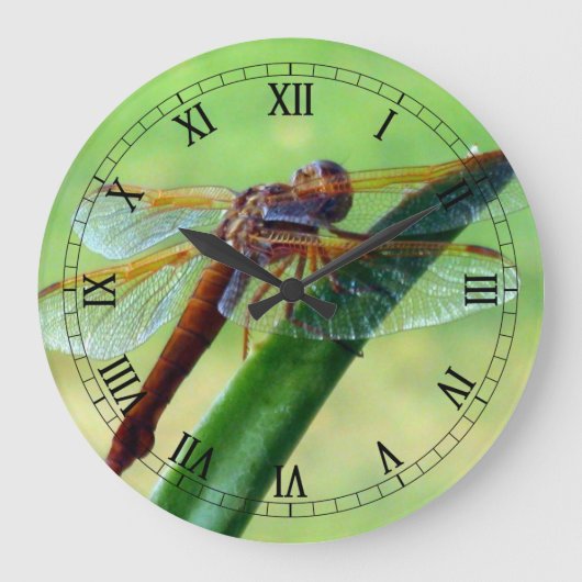 Dragonfly op Aloe Macro Wall Clock Grote Klok (Voorkant)