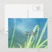 Dragonfly op blauw briefkaart (Voorkant / Achterkant)