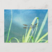 Dragonfly op blauw briefkaart (Voorkant)