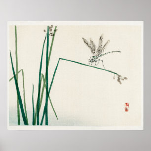 Dragonfly op bulrushblad van Kono Bairei (1844-189 Poster
