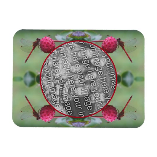 Dragonfly op Dogwood Fruit Creëer Uw eigen foto Magneet (Horizontaal)