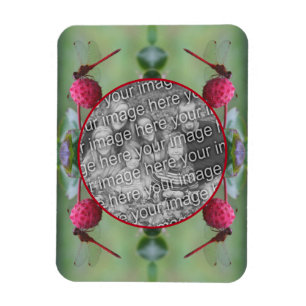 Dragonfly op Dogwood Fruit Creëer Uw eigen foto Magneet