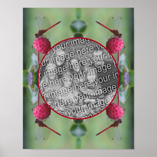 Dragonfly op Dogwood Fruit Creëer Uw eigen foto Poster (Voorkant)