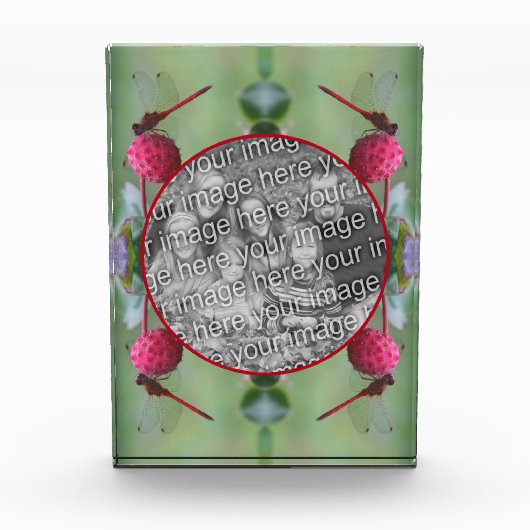 Dragonfly Op Dogwood Fruit Creëer Uw Eigen Fotoblokken (Voorkant)