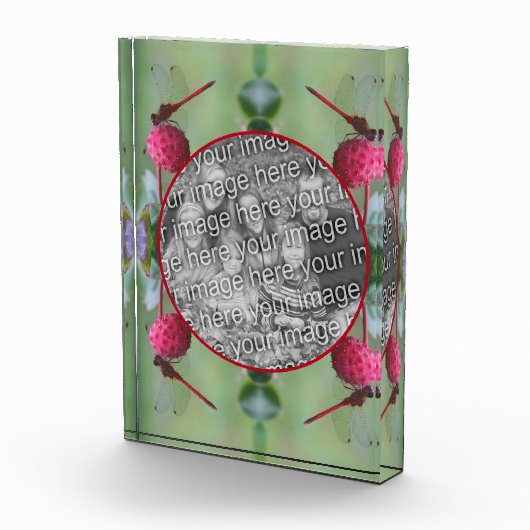 Dragonfly Op Dogwood Fruit Creëer Uw Eigen Fotoblokken (Rechts)