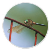 Dragonfly op draadhek dicht keramische knop (Voorkant)