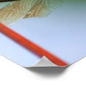 Dragonfly op draadhek dicht poster (Hoek)