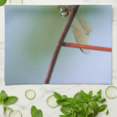 Dragonfly op draadhek dicht theedoek (Gevouwen)
